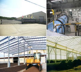 高碑店有機肥廠 引領生物科技，打造優質有機肥批發新標桿